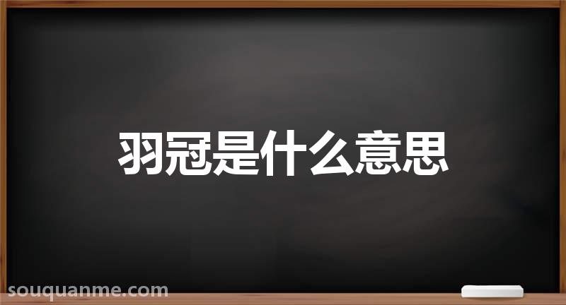 羽冠是什么意思 羽冠的读音拼音 羽冠的词语解释